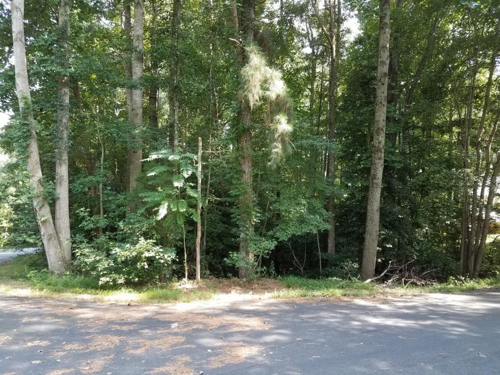 Image for Online Only Building Lot Real Estate Auction