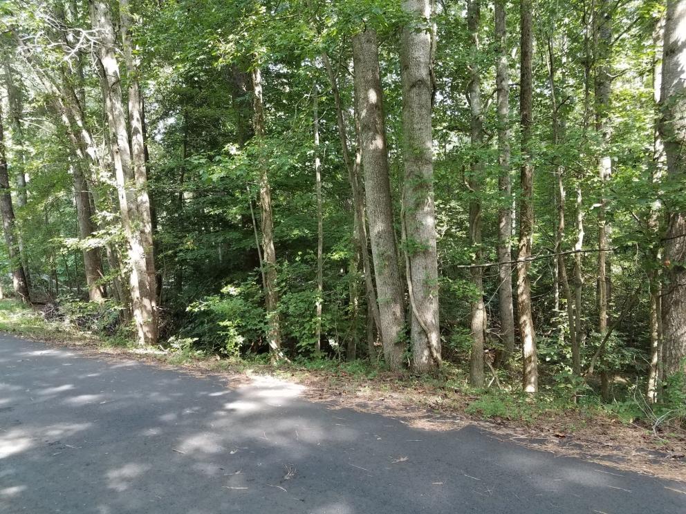 Image for Online Only Building Lot Real Estate Auction