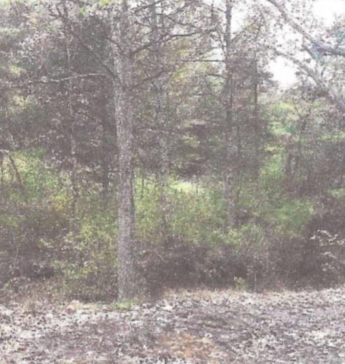 Image for Online Real Estate (Land) Auction.