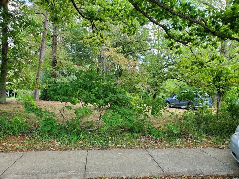 Image for 11/9/2019 On-Site Building Lot Auction.