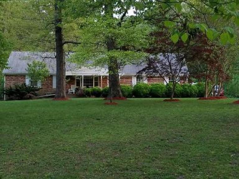 Image for {bw_title}