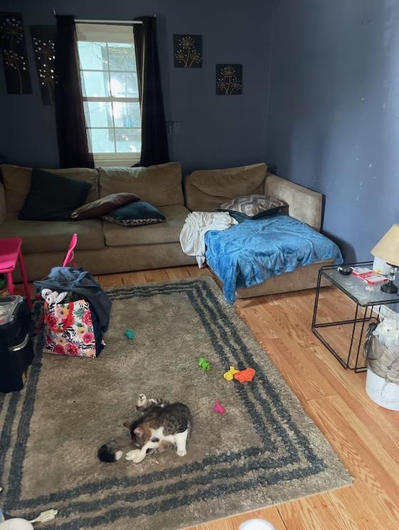 Image for Real Estate Auction