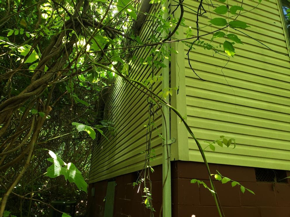 Image for Real Estate Auction