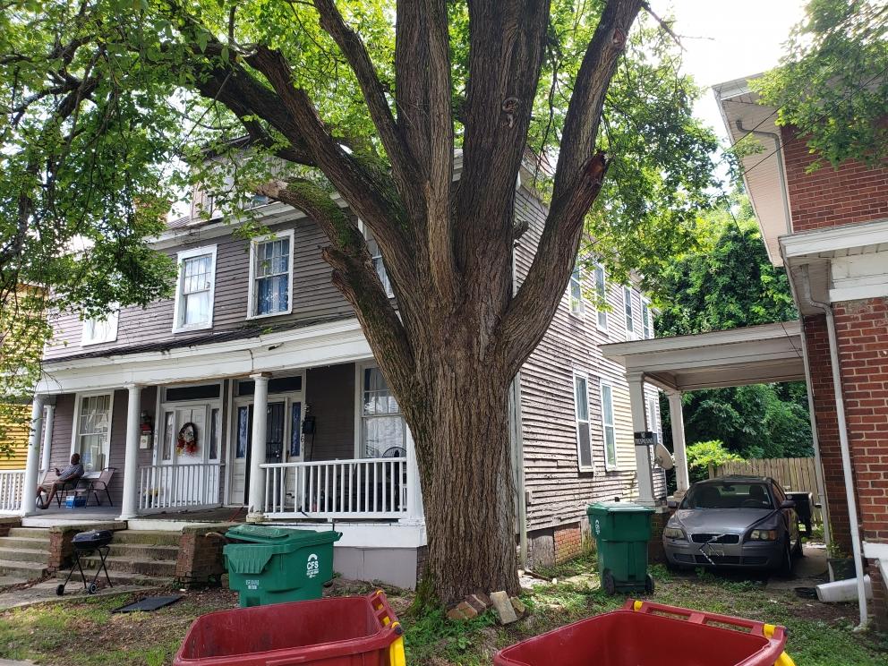 Image for Real Estate Auction