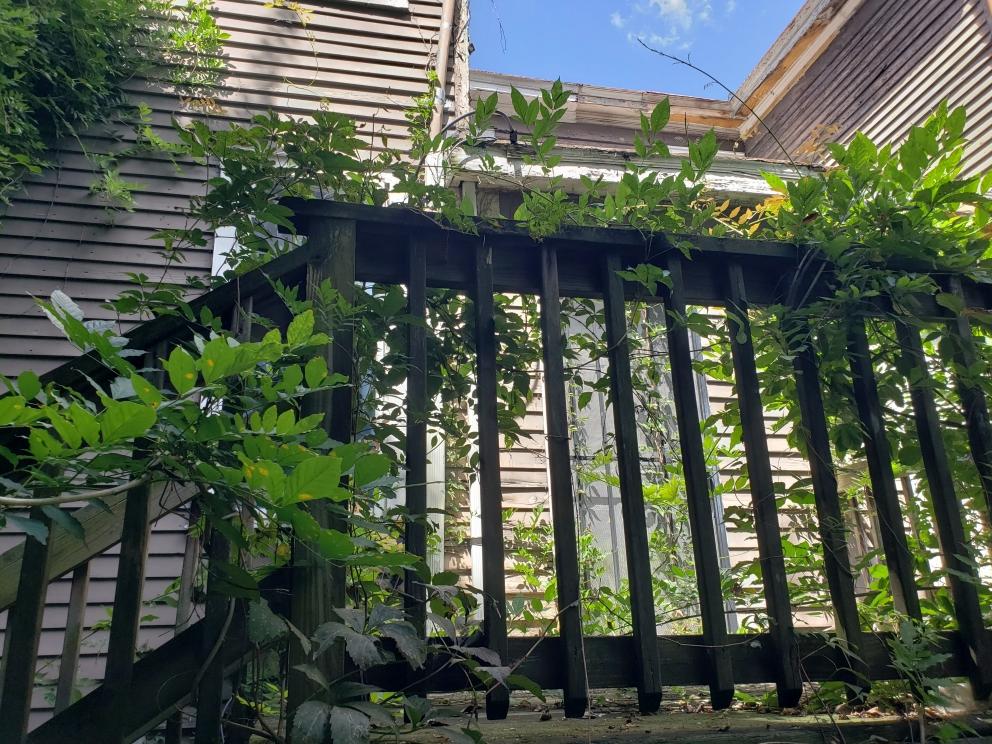 Image for Real Estate Auction