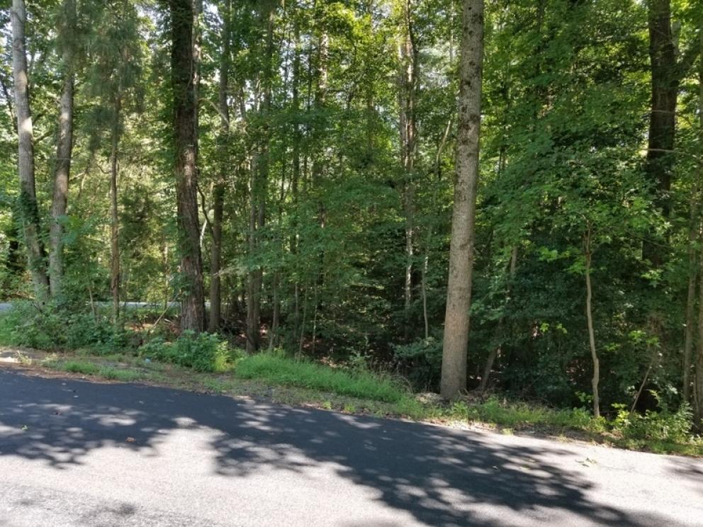 Image for Onsite Real Estate Auction (Building Lot)