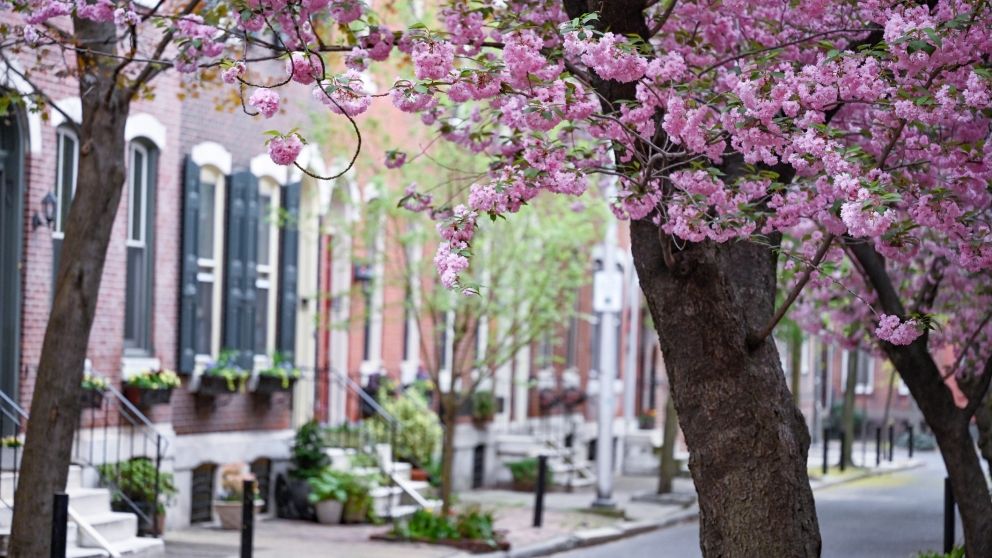 Preparing-home-for-spring-market-bucks-county