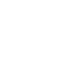Certified Auctioneers Institute (CAI)