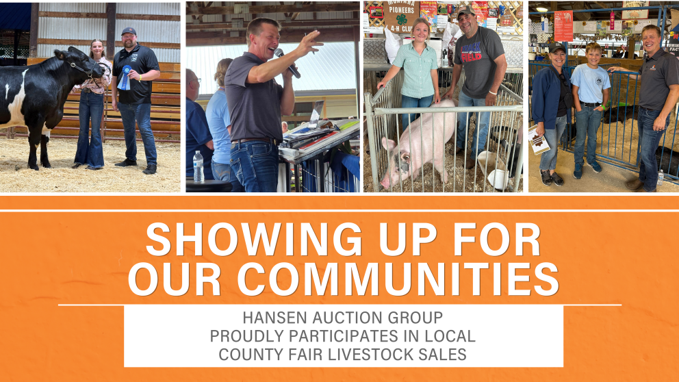 County fair 2025 - blog