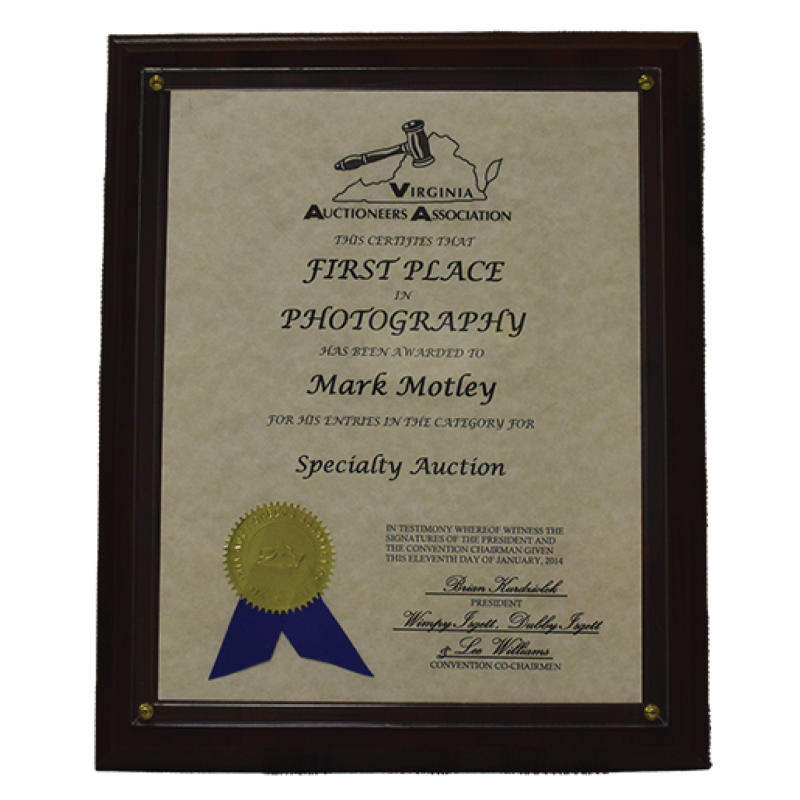 Image of First Place in Photography