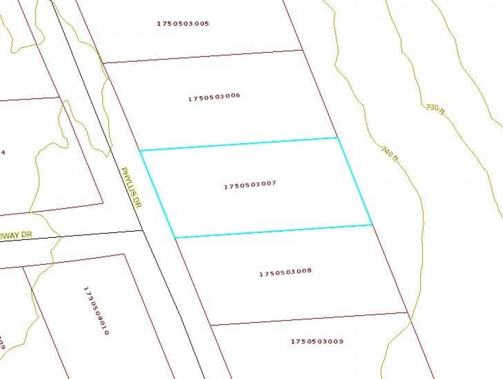 Image for JULY LAND AUCTION +/-0.23 acre lot on Phyllis Drive in Anderson, SC