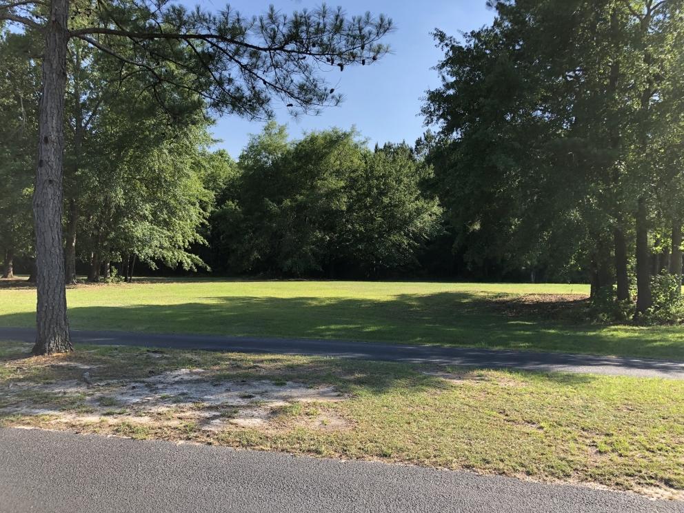 Image for Builder Lot:&nbsp; +/-1.00 acre lot on Woodlake Drive in Manning, SC