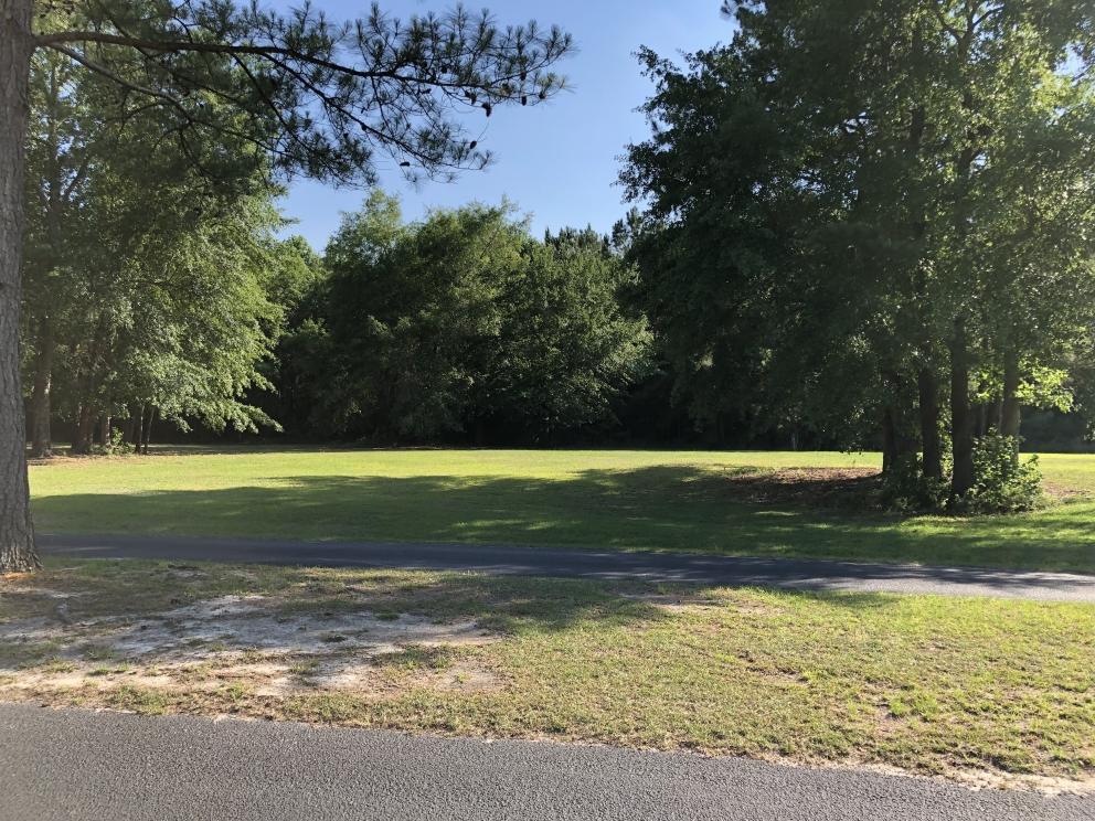 Image for Builder Lot:&nbsp; +/-1.00 acre lot on Woodlake Drive in Manning, SC
