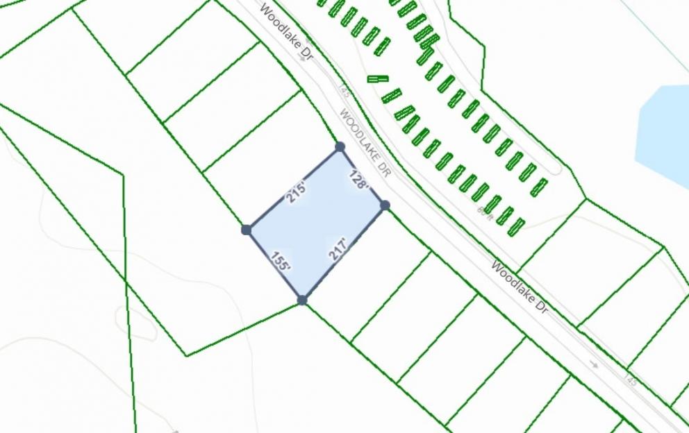 Image for Builder Lot:&nbsp; +/-1.00 acre lot on Woodlake Drive in Manning, SC