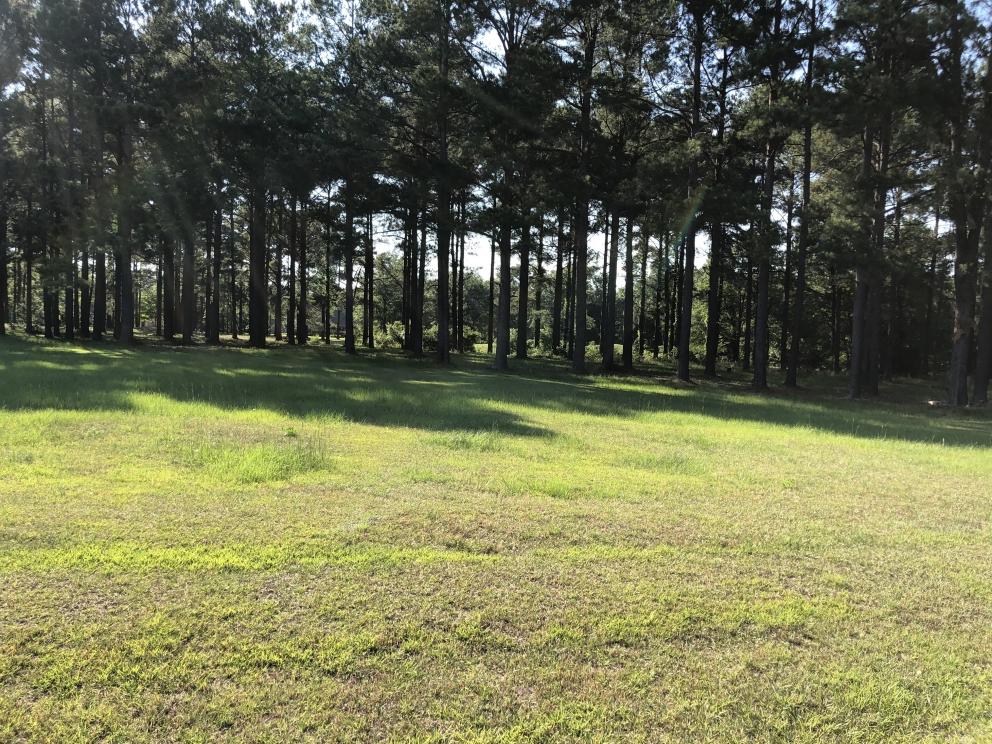 Image for Builder Lot:&nbsp; +/-1.12 acre lot on Pinelake Court in Manning, SC