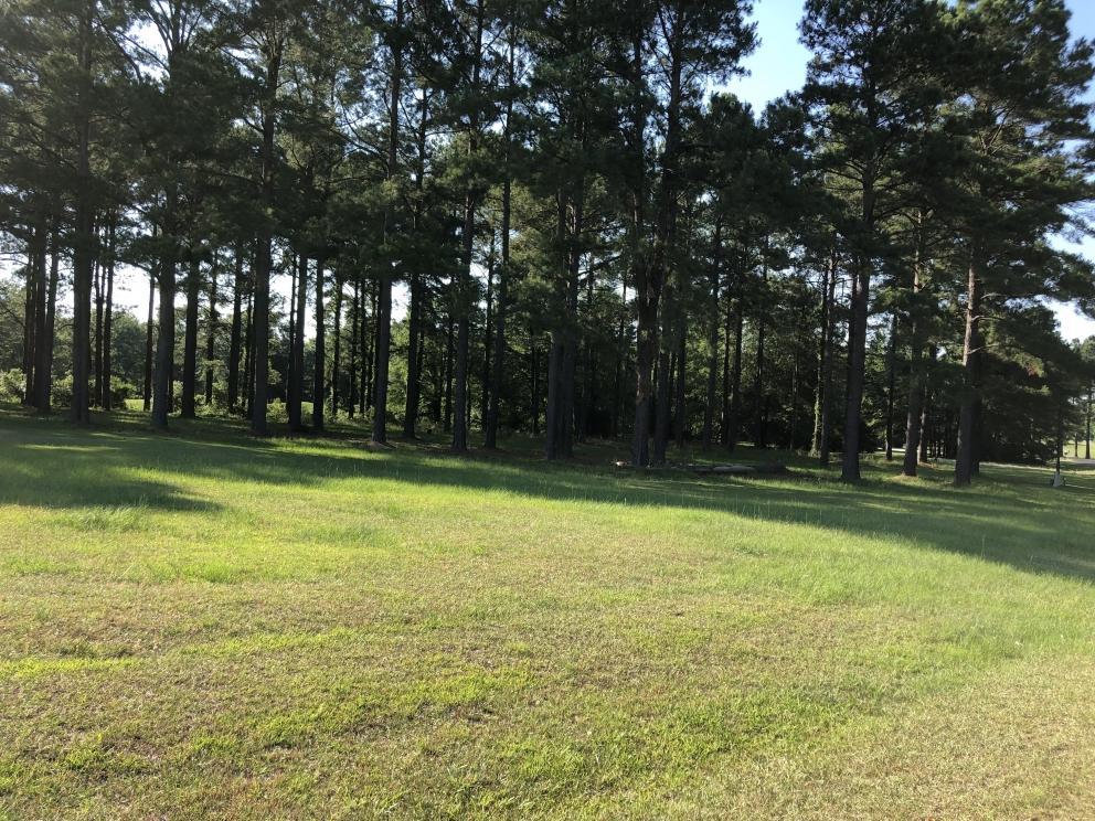Image for Builder Lot:&nbsp; +/-1.12 acre lot on Pinelake Court in Manning, SC