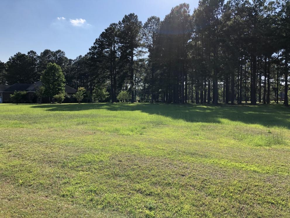 Image for Builder Lot:&nbsp; +/-1.12 acre lot on Pinelake Court in Manning, SC