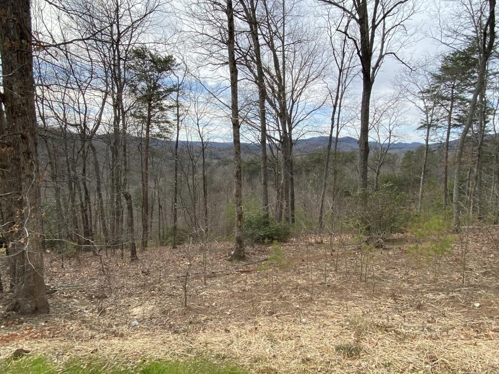 Image for Cliffs Valley ABSOLUTE Auction