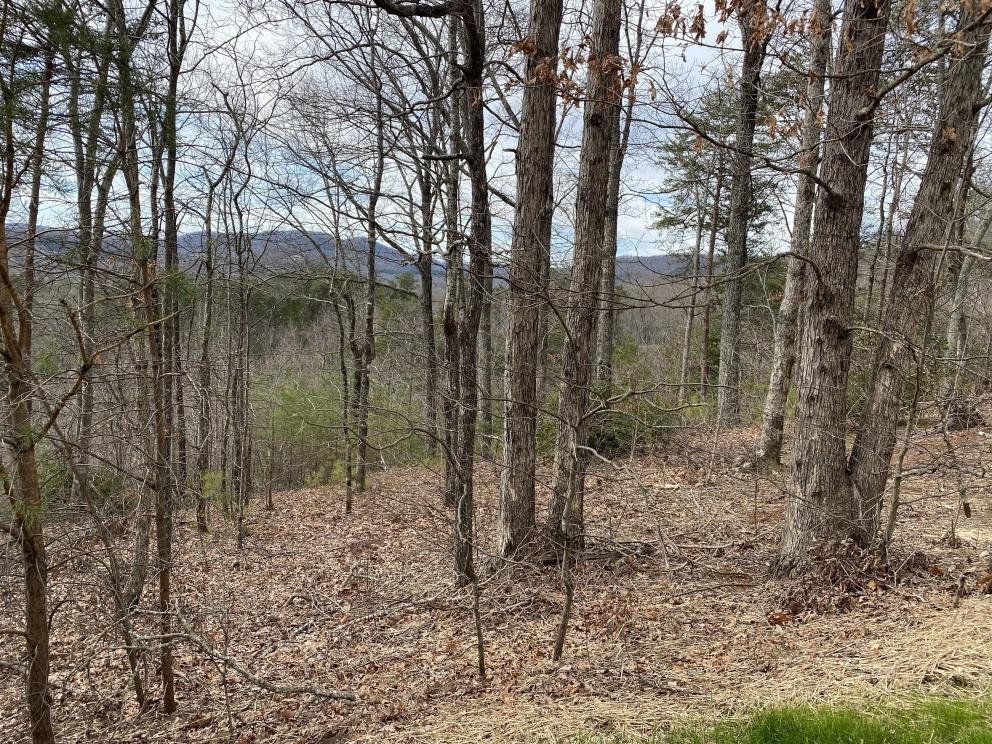 Image for Cliffs Valley ABSOLUTE Auction