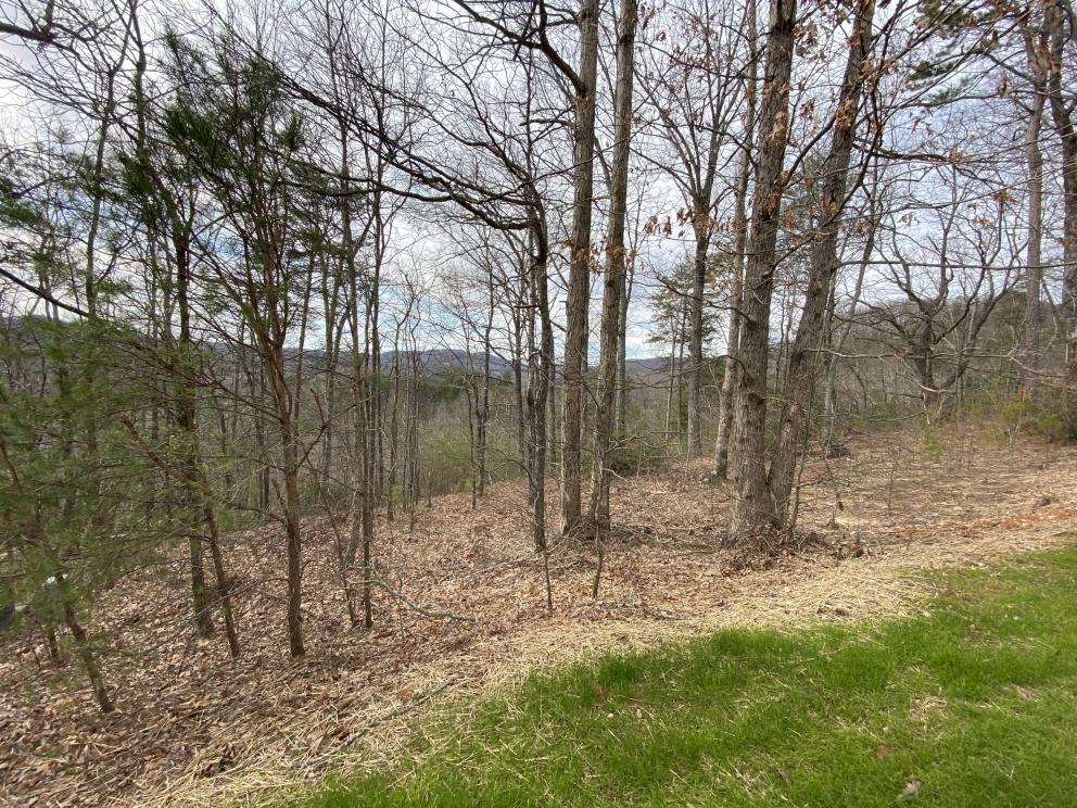 Image for Cliffs Valley ABSOLUTE Auction