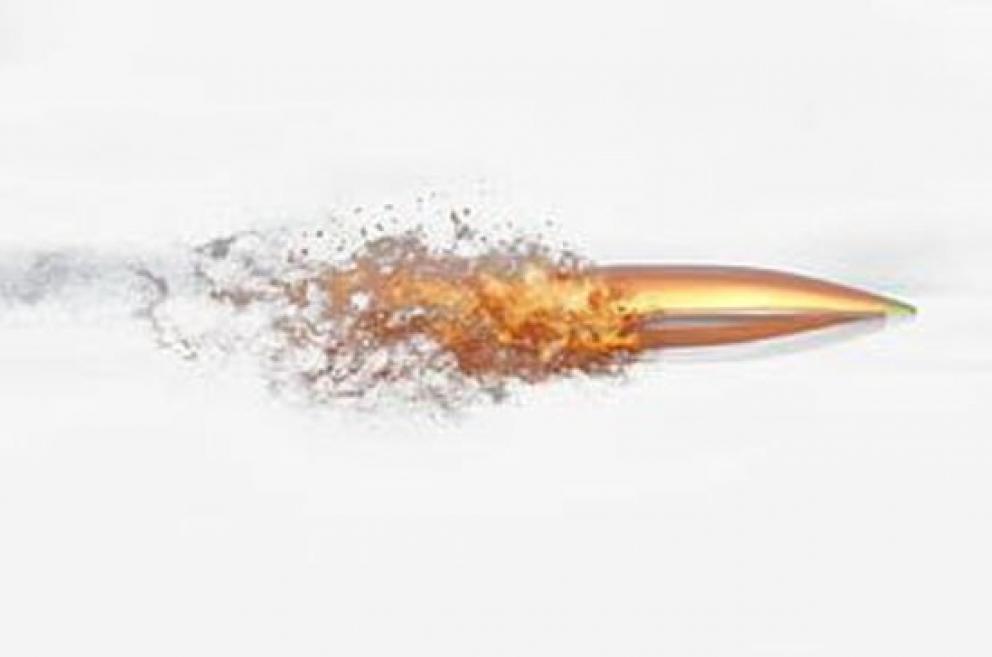 Image for July Multi-Consignor Ammunition Auction