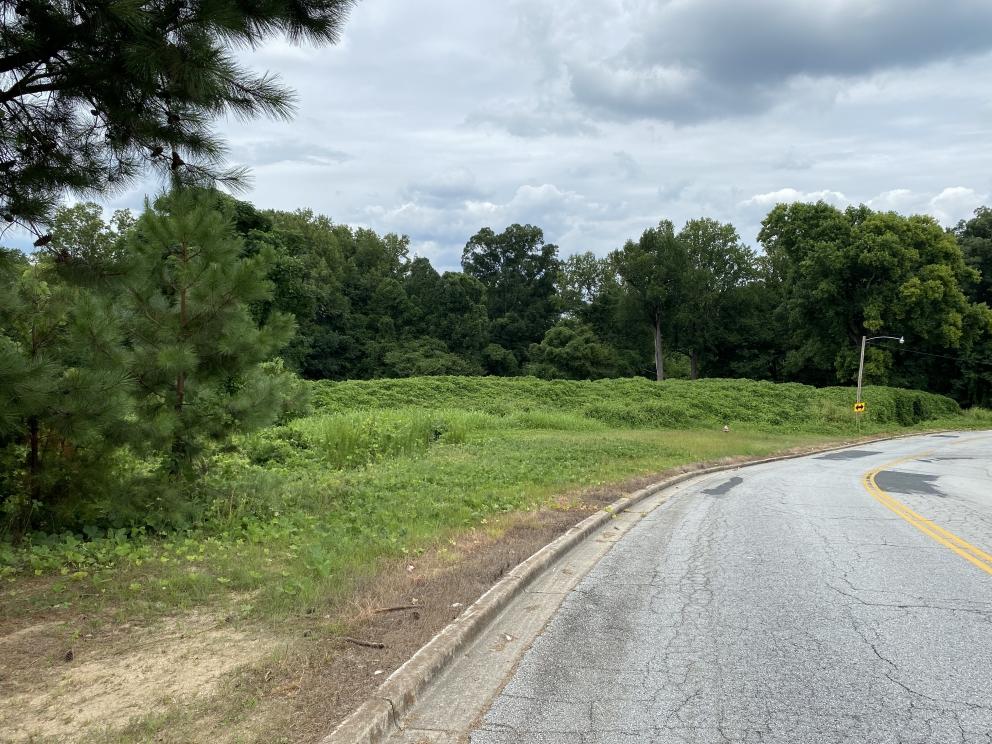 Image for NO RESERVE: Real Estate Auction - 18.25 +/- Acres