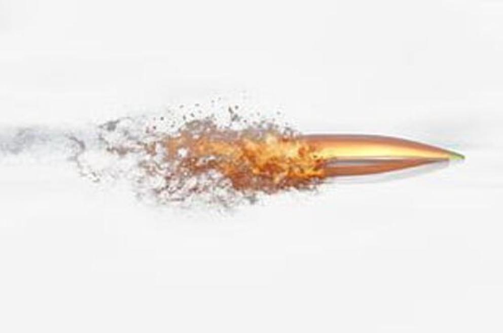 Image for May 2022 Ammunition & Shooting Auction #2