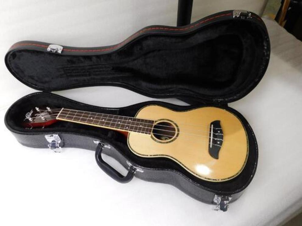 Image for Stringed Musical Instrument Auction