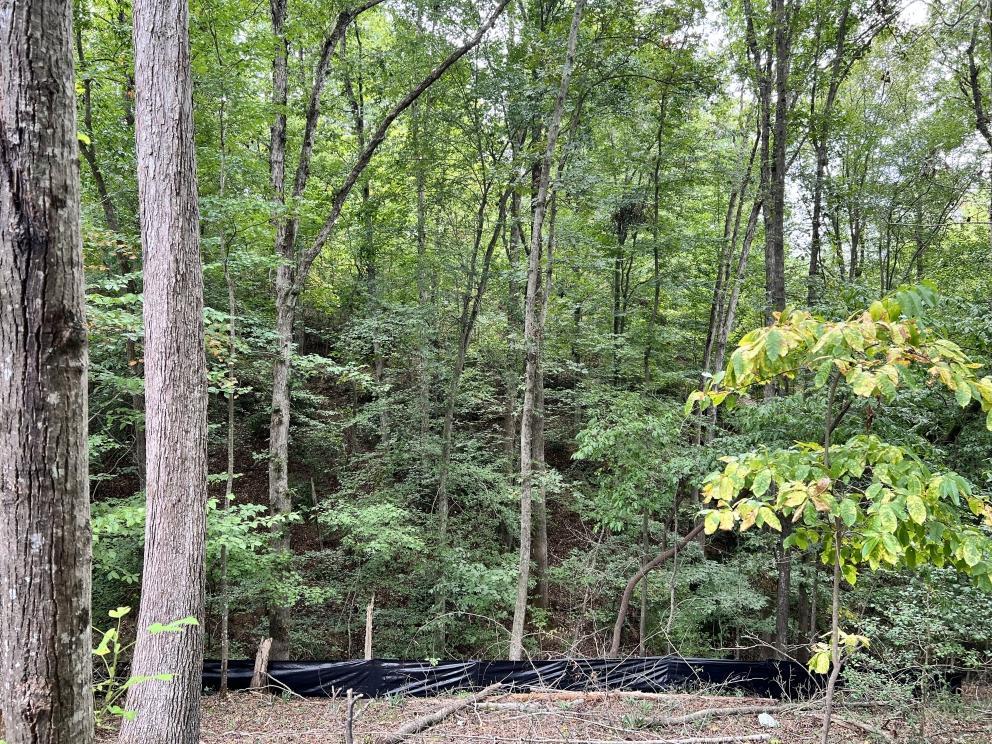 Image for 22 Glen Haven Court, Greenville, SC 29611