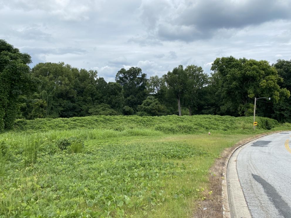 Image for 14.77+/- Acres in Union, SC Selling to the Highest Bidder