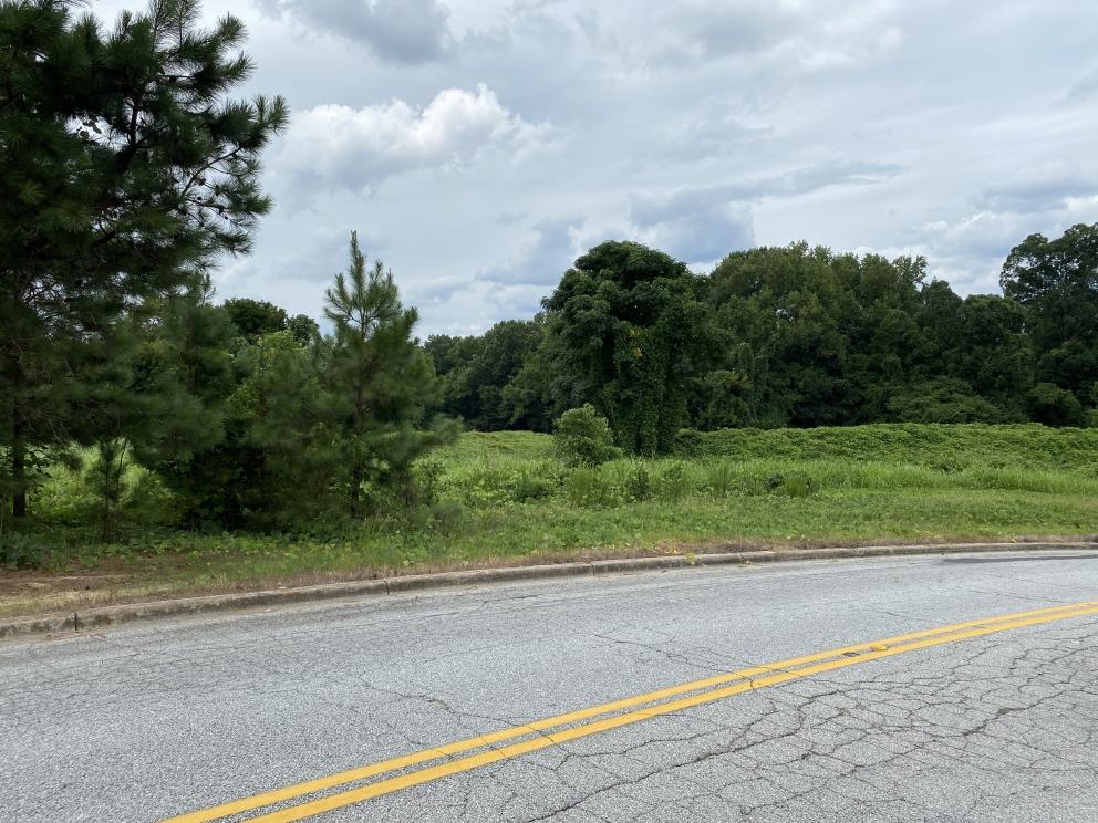 Image for 14.77+/- Acres in Union, SC Selling to the Highest Bidder