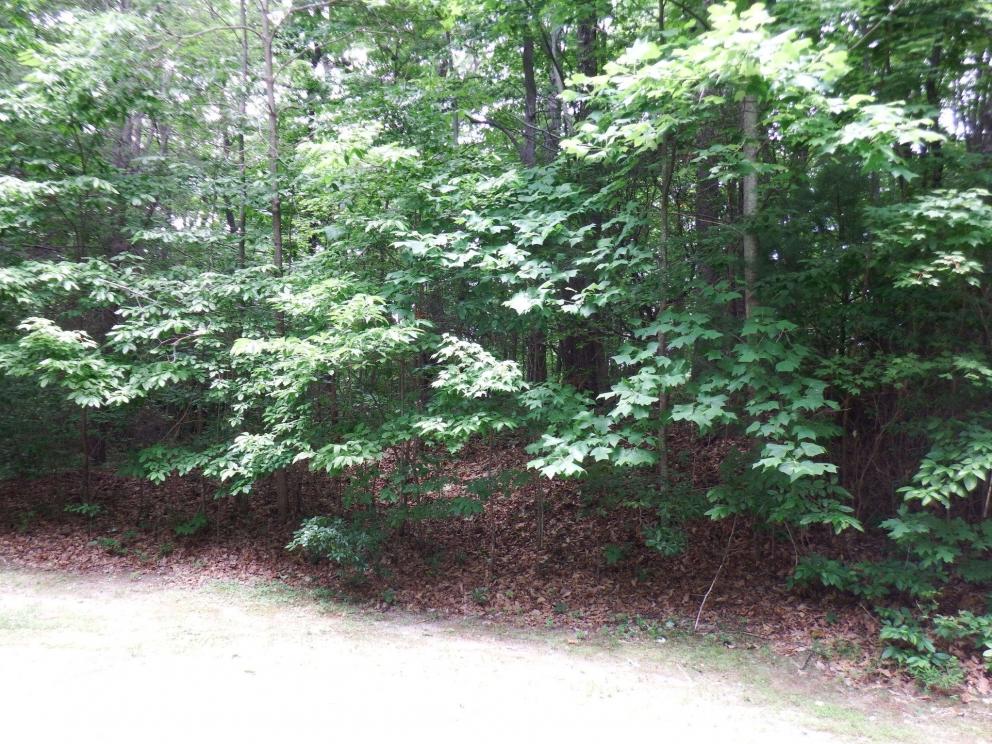 Image for Caesar’s Head – Online Real Estate Auction 1 of 4