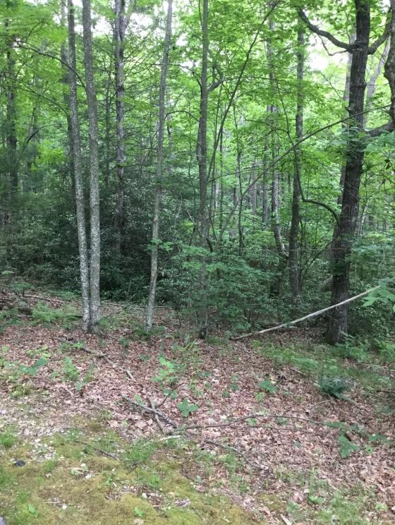 Image for Caesar’s Head – Online Real Estate Auction 2 of 4