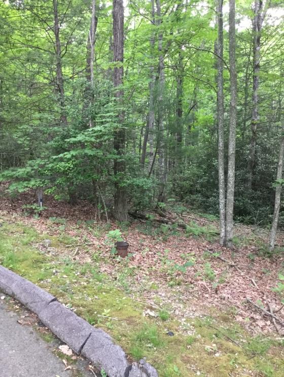 Image for Caesar’s Head – Online Real Estate Auction 2 of 4