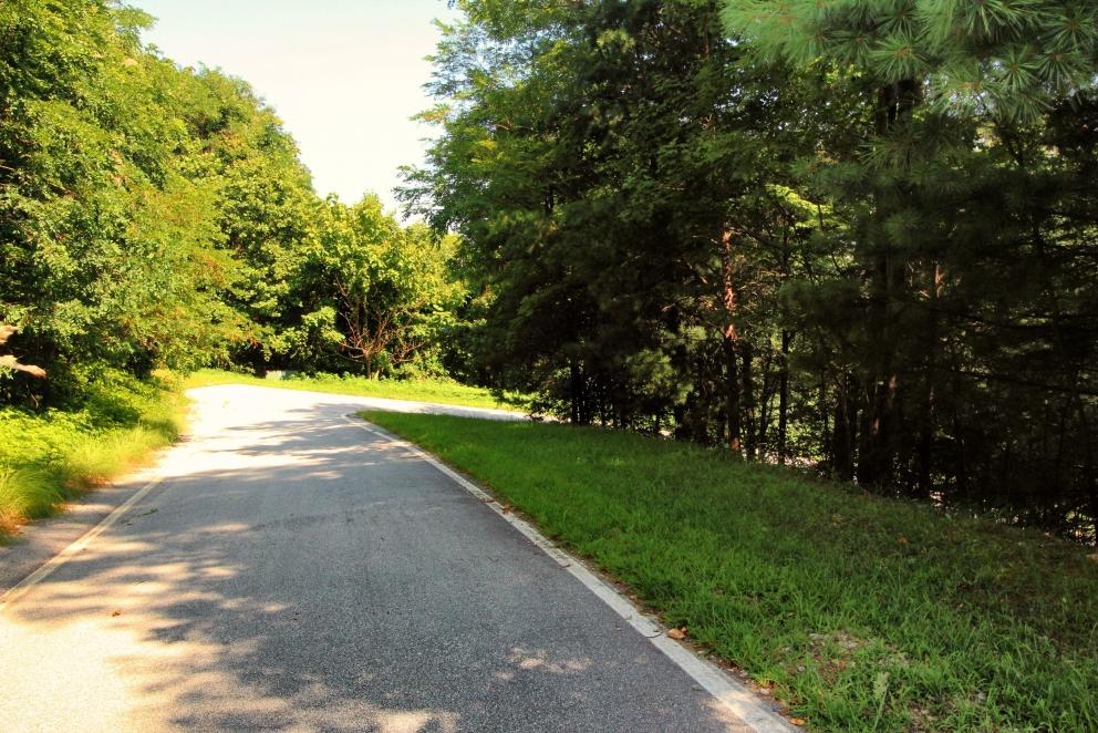 Image for Two Properties at the Cliffs At Glassy - Timed Online Event