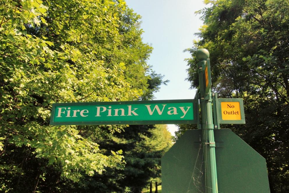 Image for Two Properties at the Cliffs At Glassy - Timed Online Event