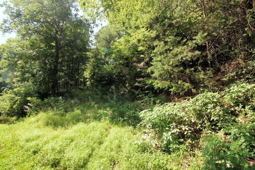 Image for Two Properties at the Cliffs At Glassy - Timed Online Event