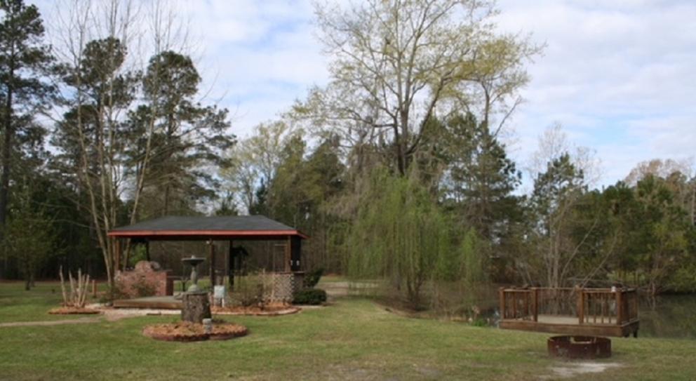 Dock and outdoor kitchen