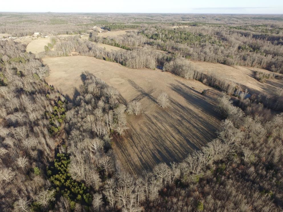 Image for Laurens County Real Estate Event - over 44 Acres