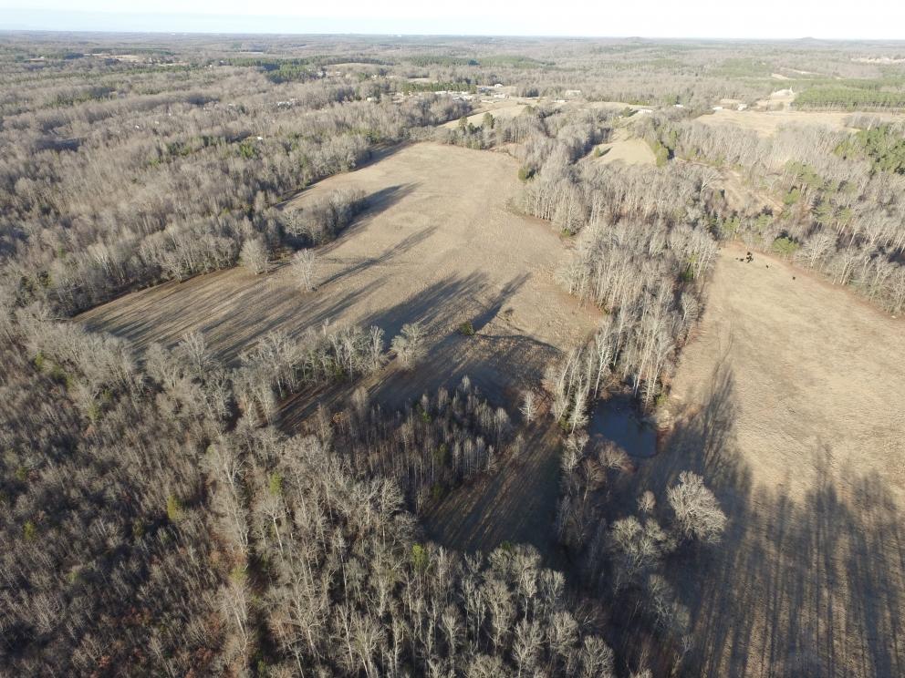 Image for Laurens County Real Estate Event - over 44 Acres