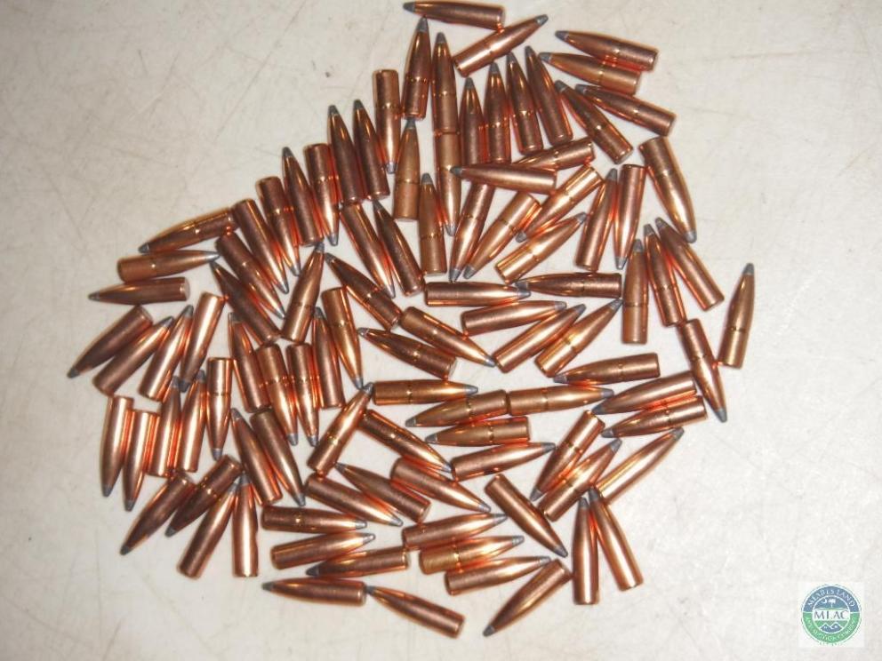Image for Mid June Shooting - Ammunition - Sportsman Auction (18-82)