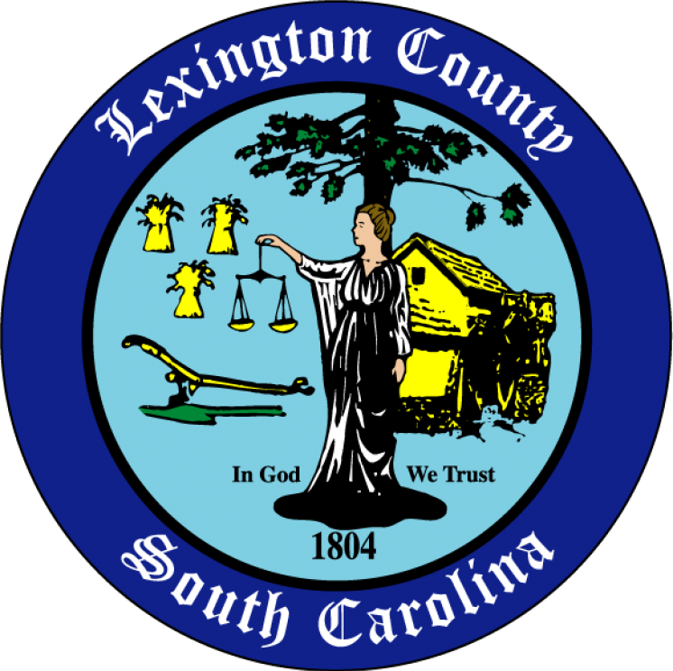 Image for Lexington County Delinquent Tax Auction