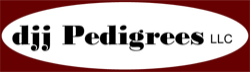 djj Pedigrees, LLC