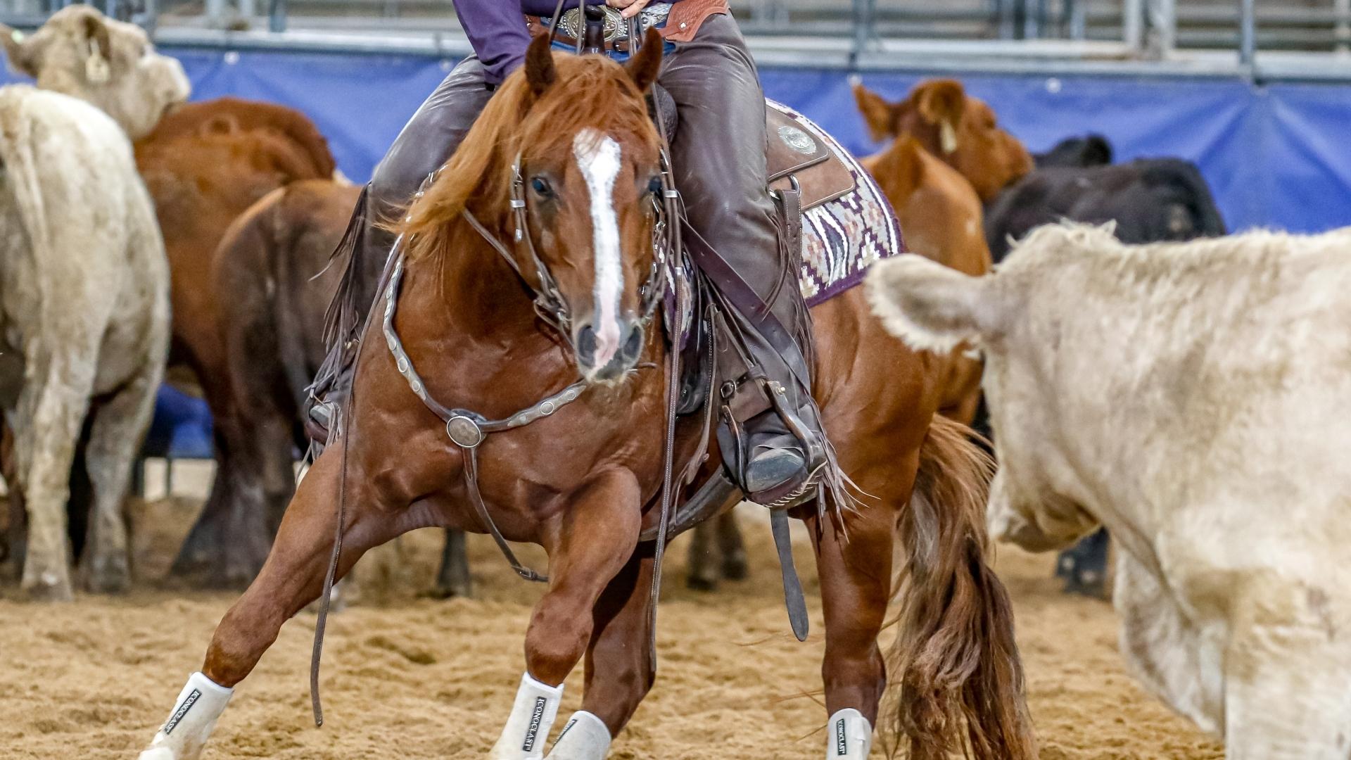 How to Register to Bid