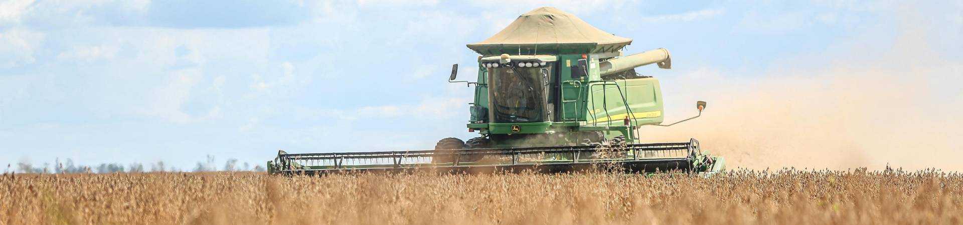 Pexels-melquizedeque-almeida-39371277-31226927