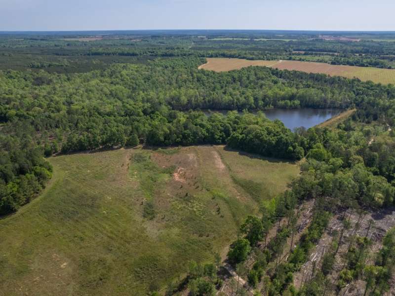 Image for The Wills Estate - 529 Acres, Webster County